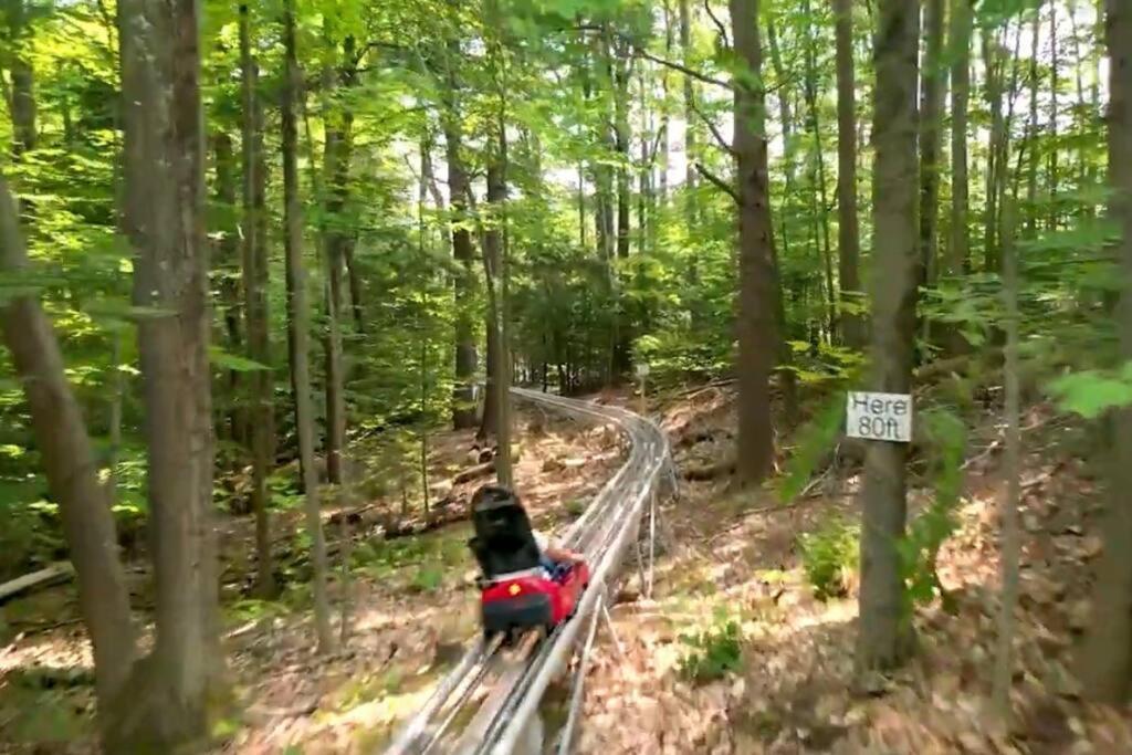 Gunstock & Lakes Region Year Round Chalet غيلفورد المظهر الخارجي الصورة